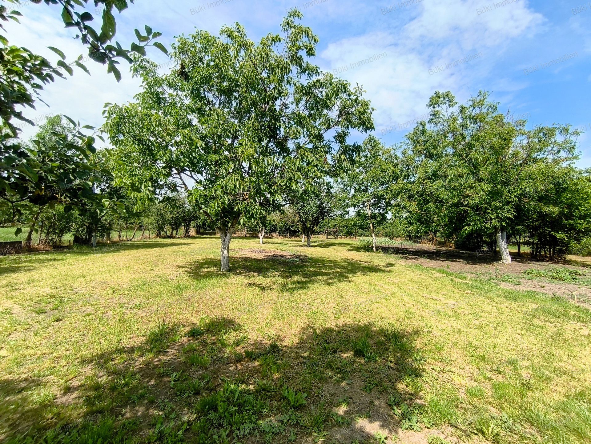 A fájl már létezik a célhelyen: import/kepek/vizjeles_5774760.jpg
For sale house Bélmegyer  100 m<sup>2</sup> 9 millió Ft