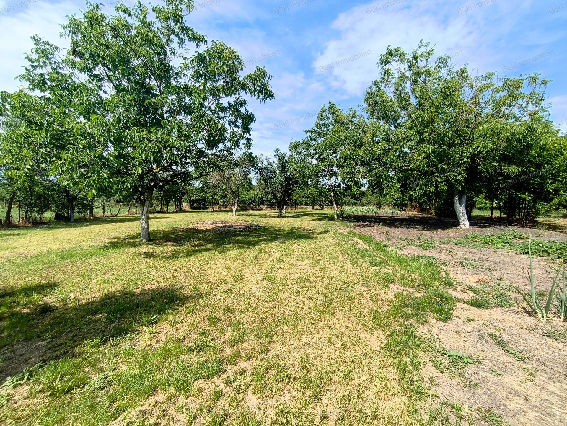 A fájl már létezik a célhelyen: import/kepek/vizjeles_5774761.jpg
For sale house Bélmegyer  100 m<sup>2</sup> 9 millió Ft