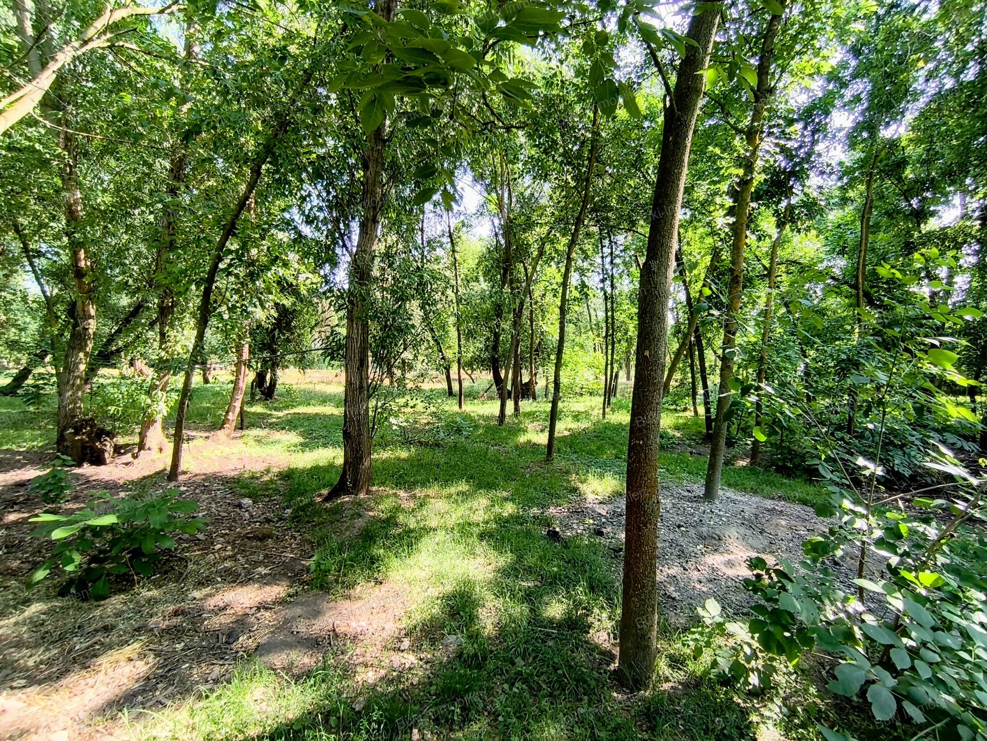 A fájl már létezik a célhelyen: import/kepek/vizjeles_5783395.jpg
For sale house Békéscsaba  130 m<sup>2</sup> 28.6 millió Ft