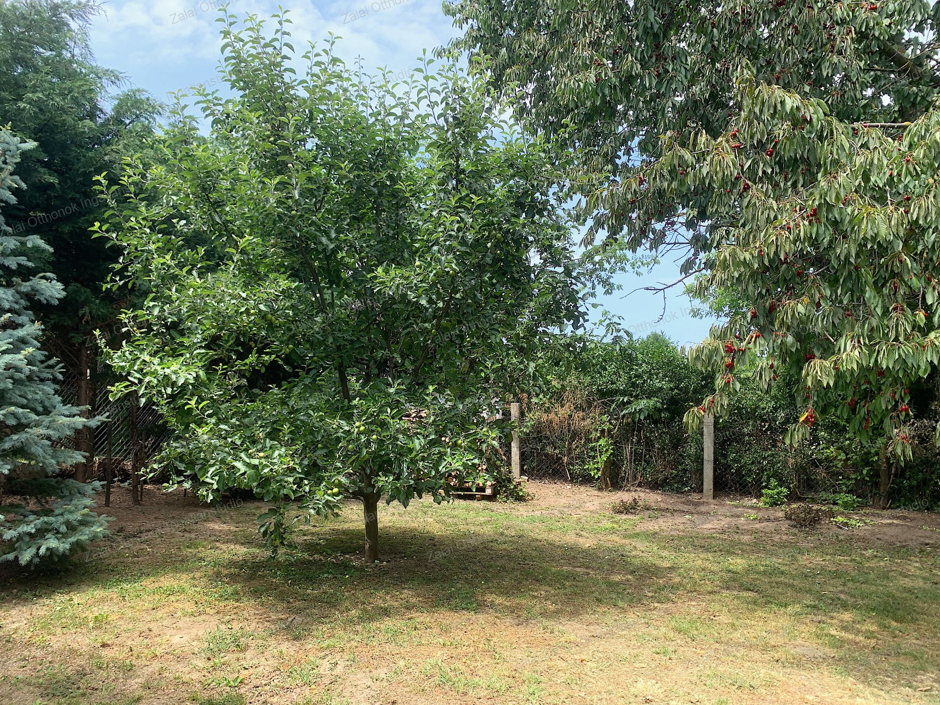 A fájl már létezik a célhelyen: import/kepek/vizjeles_5786400.jpg
For sale house Szőlősgyörök  115 m<sup>2</sup> 72.35 millió Ft