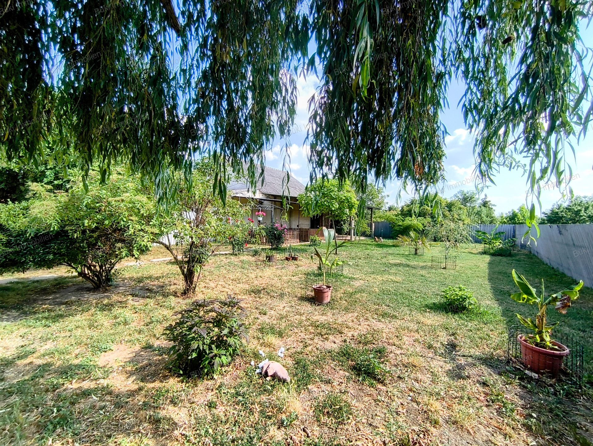 A fájl már létezik a célhelyen: import/kepek/vizjeles_5790114.jpg
For sale house Szeghalom  95 m<sup>2</sup> 49.9 millió Ft