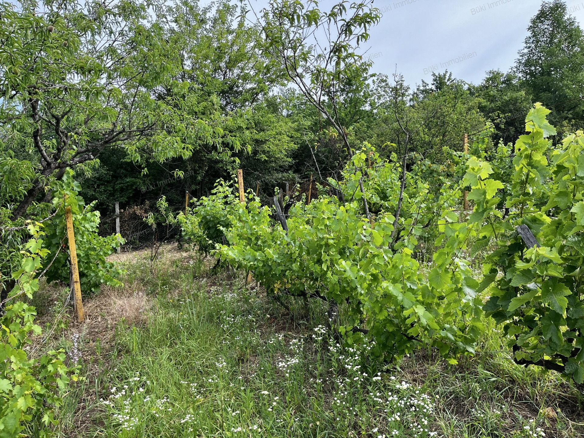 A fájl már létezik a célhelyen: import/kepek/vizjeles_5806130.jpg
For sale recreational home, summer house Miskolc  30 m<sup>2</sup> 4.5 millió Ft