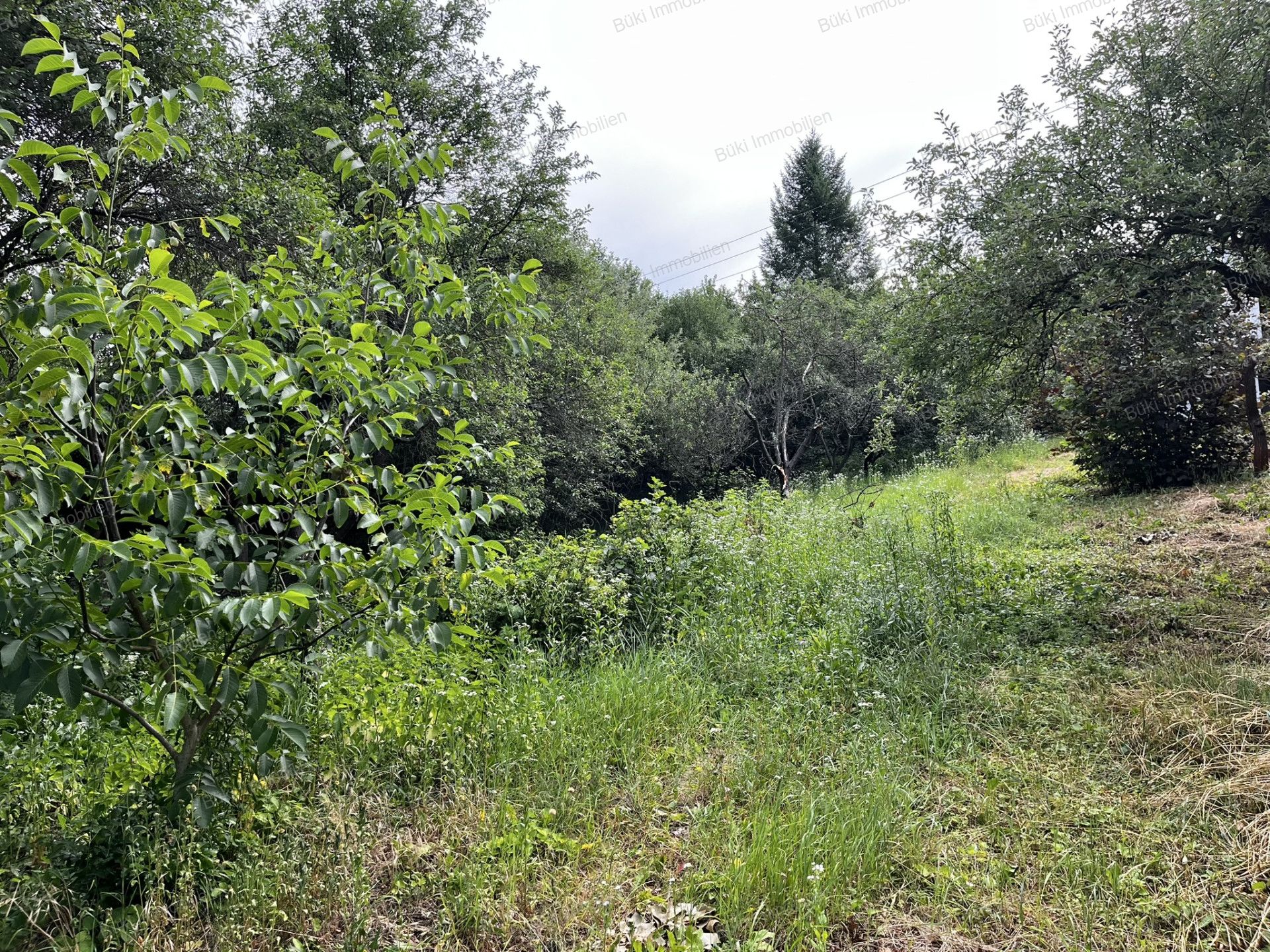 A fájl már létezik a célhelyen: import/kepek/vizjeles_5806131.jpg
For sale recreational home, summer house Miskolc  30 m<sup>2</sup> 4.5 millió Ft