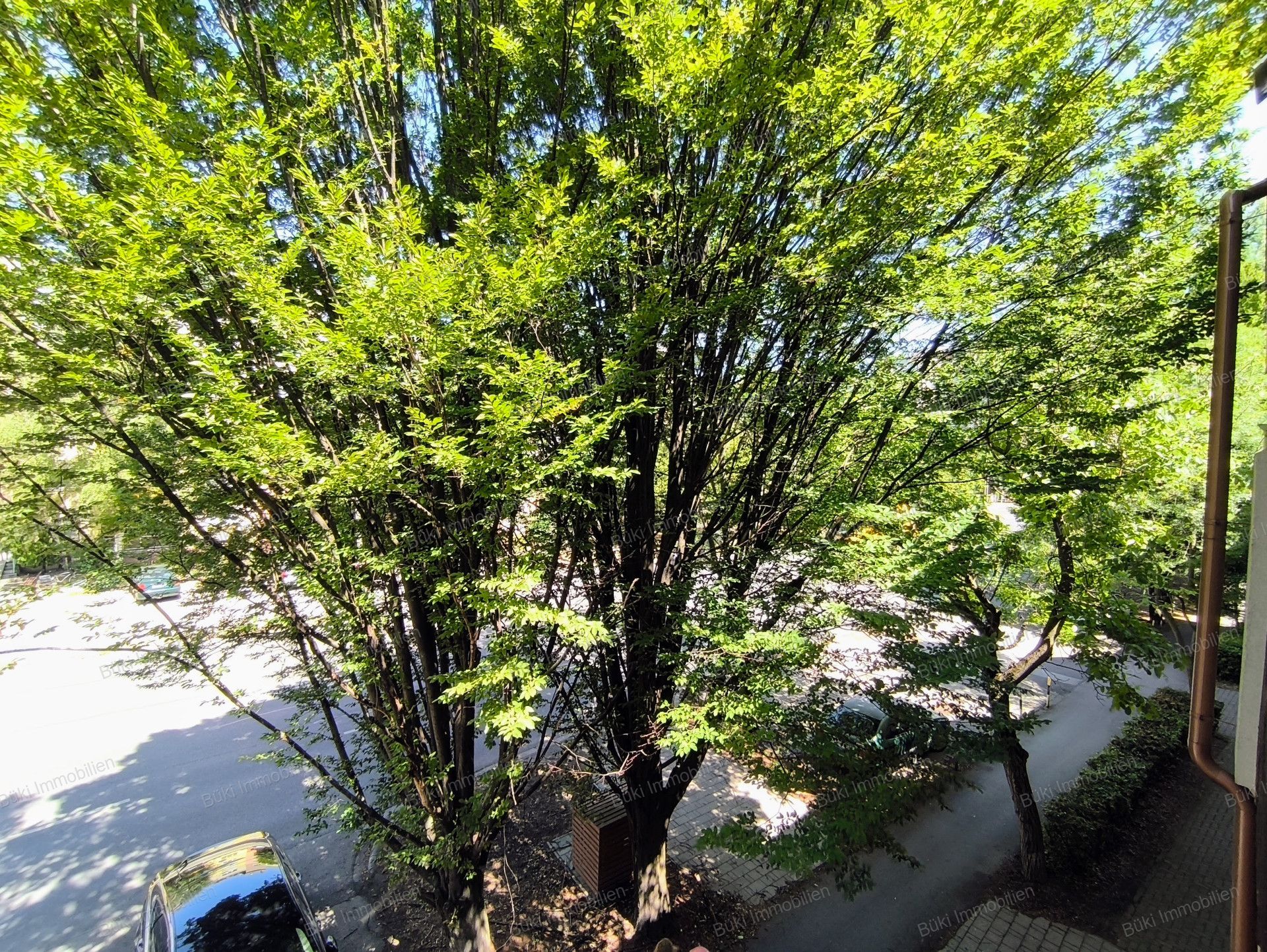 A fájl már létezik a célhelyen: import/kepek/vizjeles_5809872.jpg
For sale flat Békéscsaba  147 m<sup>2</sup> 63 millió Ft
