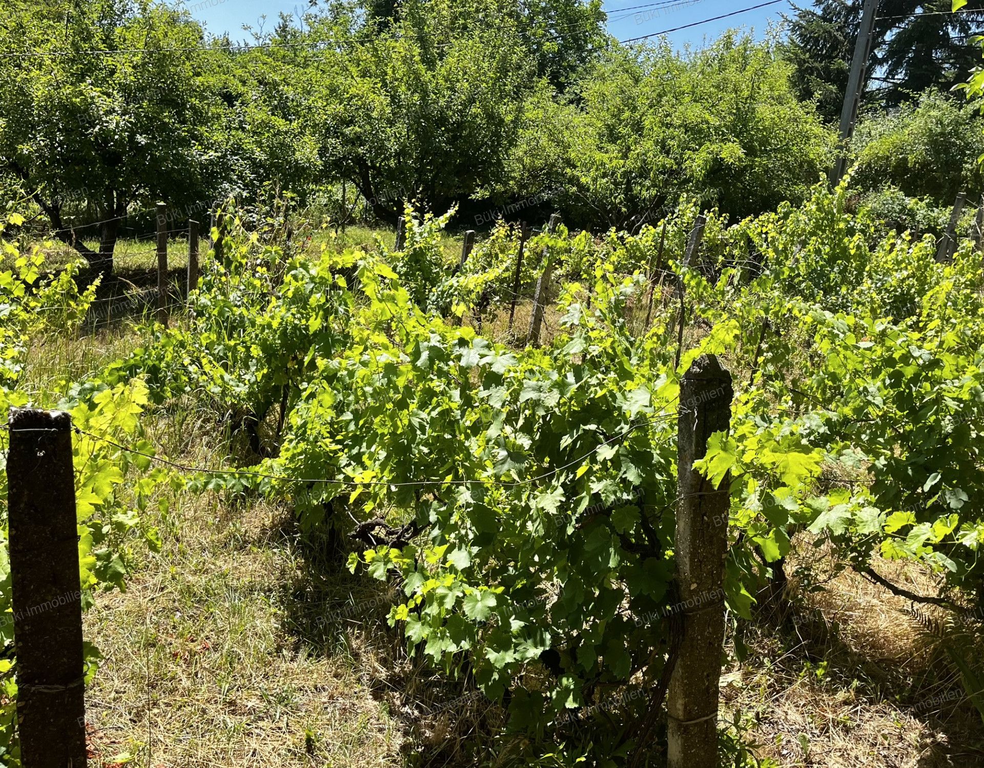 A fájl már létezik a célhelyen: import/kepek/vizjeles_5811599.jpg
For sale plot of land, building lot Miskolc  867 m<sup>2</sup> 14.9 millió Ft