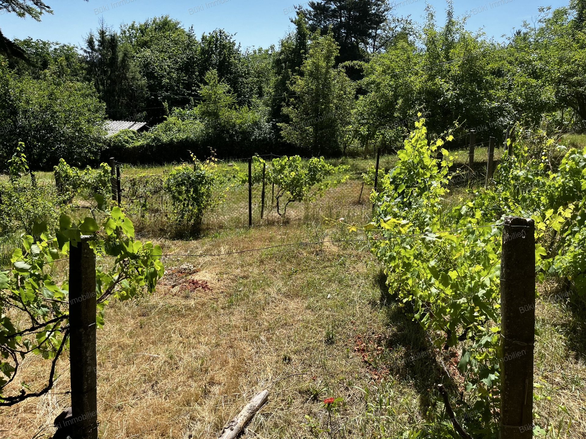 A fájl már létezik a célhelyen: import/kepek/vizjeles_5811600.jpg
For sale plot of land, building lot Miskolc  867 m<sup>2</sup> 14.9 millió Ft