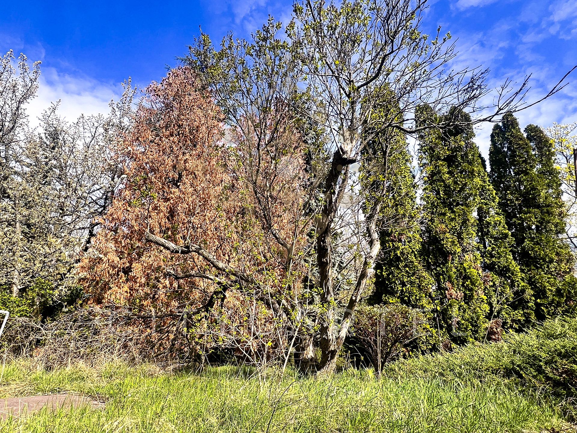 A fájl már létezik a célhelyen: import/kepek/vizjeles_5814036.jpg
Eladó Építési telek Budapest, XII. kerület  1067 m<sup>2</sup> 440 millió Ft