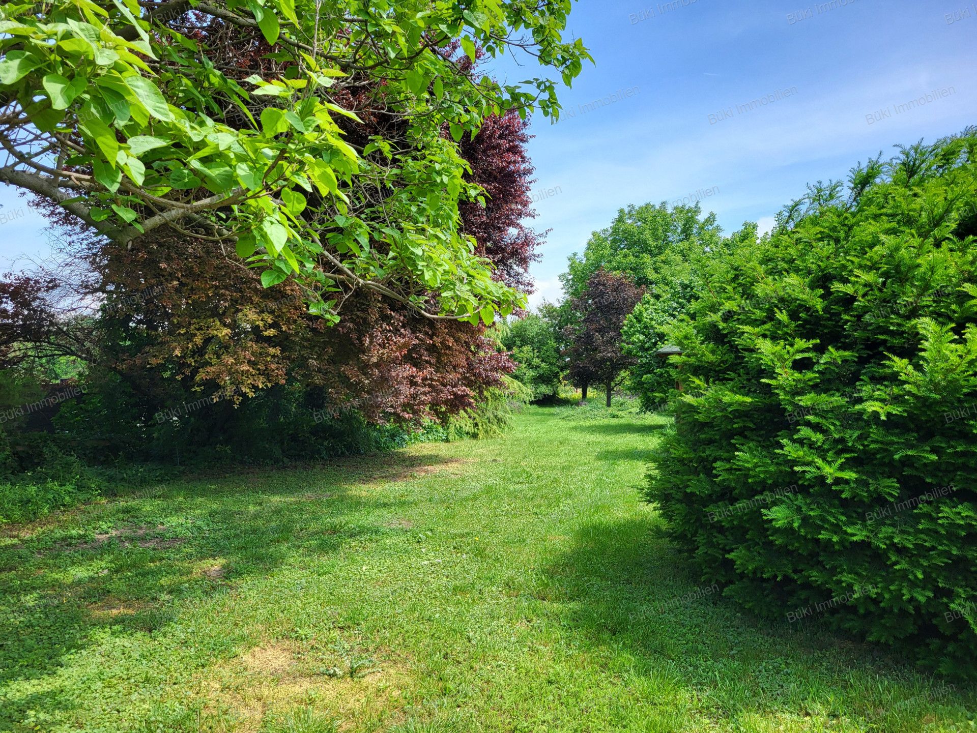 A fájl már létezik a célhelyen: import/kepek/vizjeles_5815397.jpg
For sale house Úrhida  150 m<sup>2</sup> 114.9 millió Ft