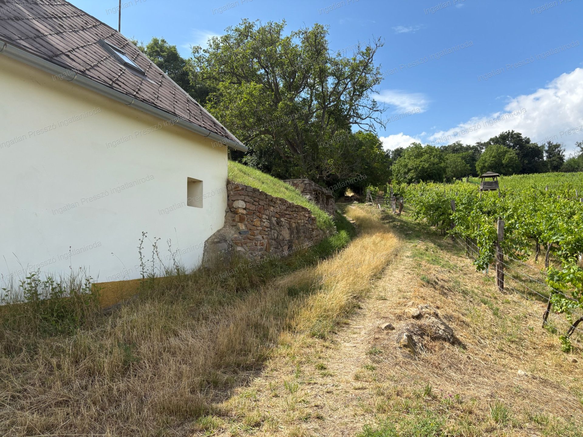 A fájl már létezik a célhelyen: import/kepek/vizjeles_5821736.jpg
Eladó nyaraló Ábrahámhegy  72 m<sup>2</sup> 49 millió Ft