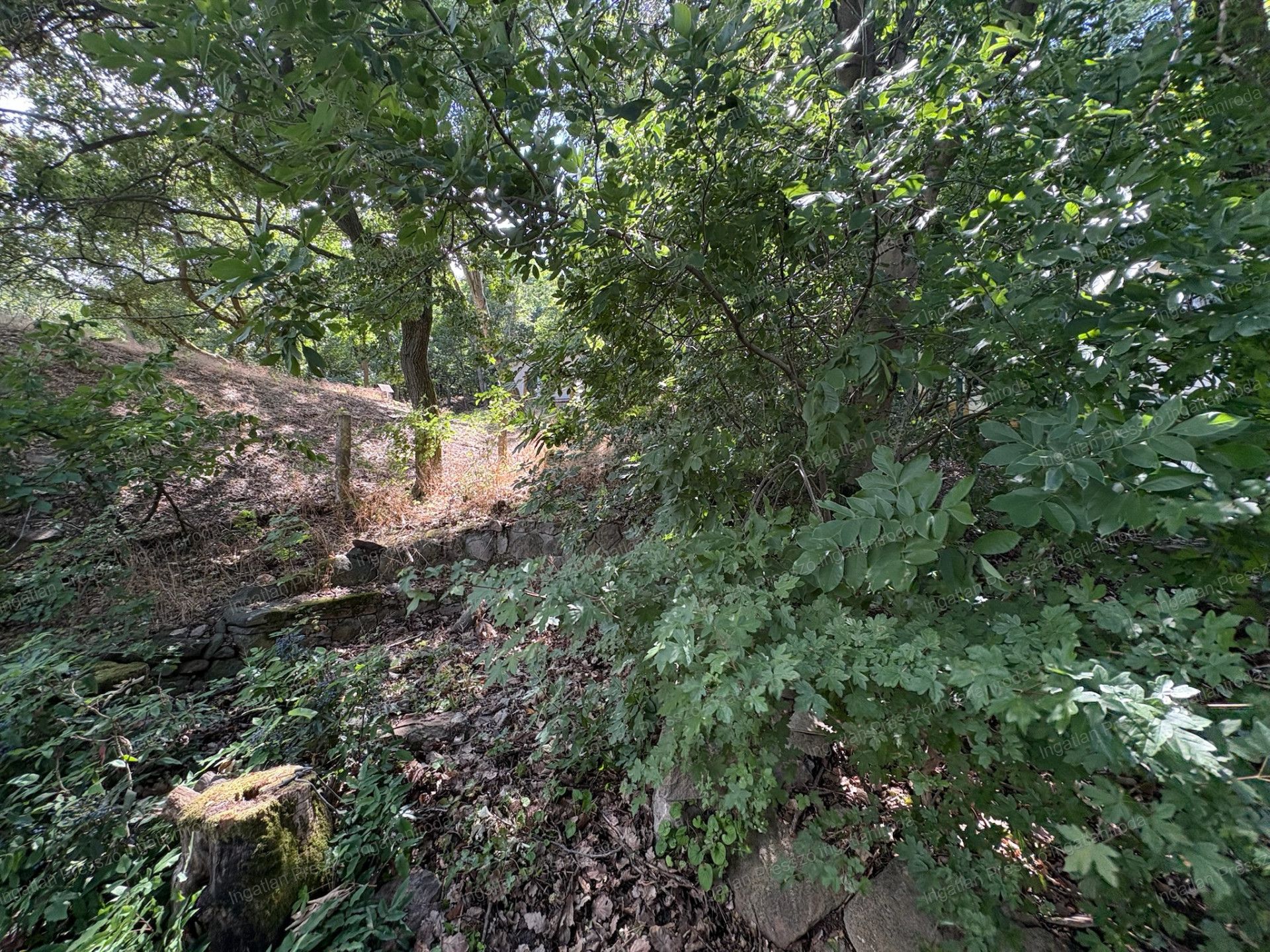 A fájl már létezik a célhelyen: import/kepek/vizjeles_5821740.jpg
Eladó nyaraló Ábrahámhegy  72 m<sup>2</sup> 49 millió Ft