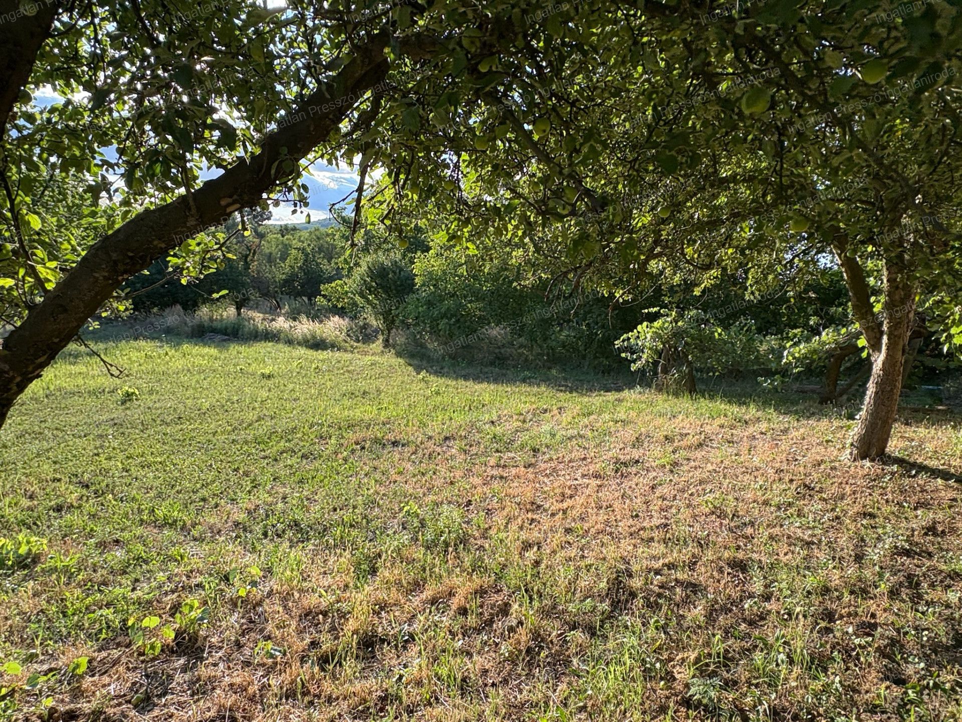 A fájl már létezik a célhelyen: import/kepek/vizjeles_5831463.jpg
Eladó Családi ház Badacsonytomaj  68 m<sup>2</sup> 0.23 millió Ft