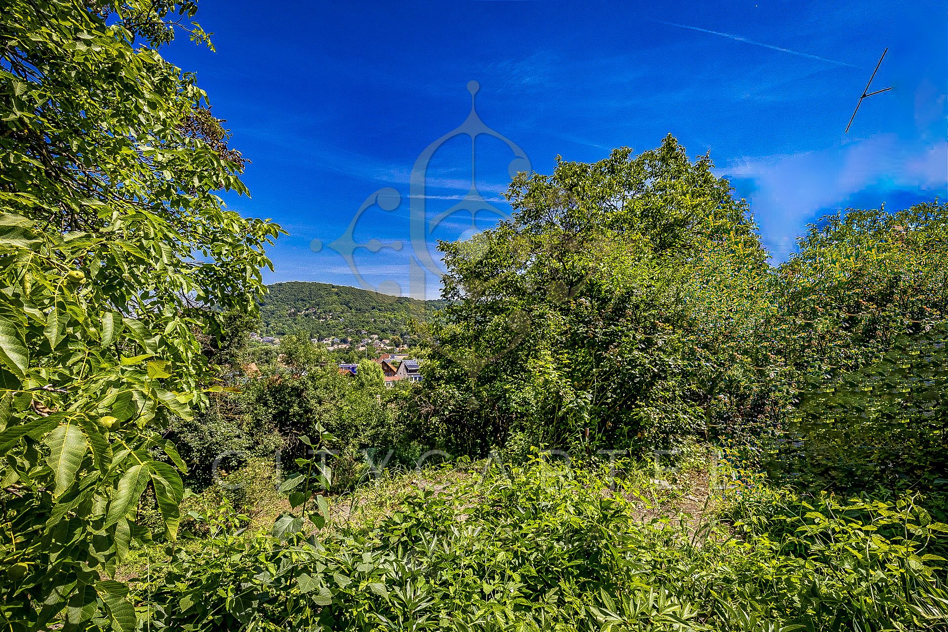 A fájl már létezik a célhelyen: import/kepek/vizjeles_5840871.jpg
Eladó Építési telek Verőce  995 m<sup>2</sup> 58 millió Ft